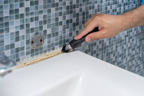 Best Residential Mold Removal  in West Ack, NY