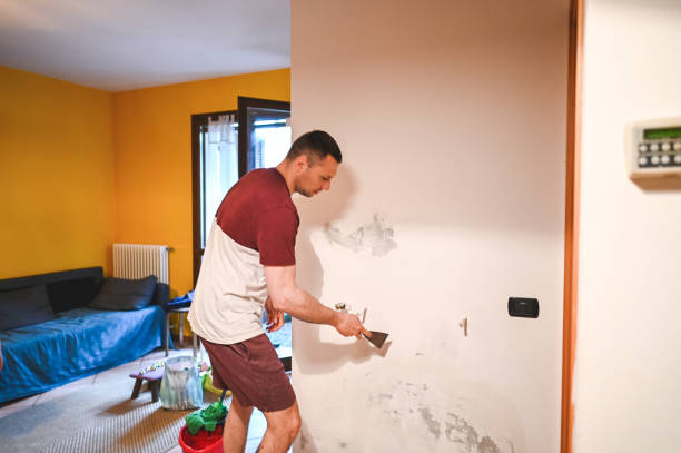 Best Office Mold Removal Services  in West Ack, NY